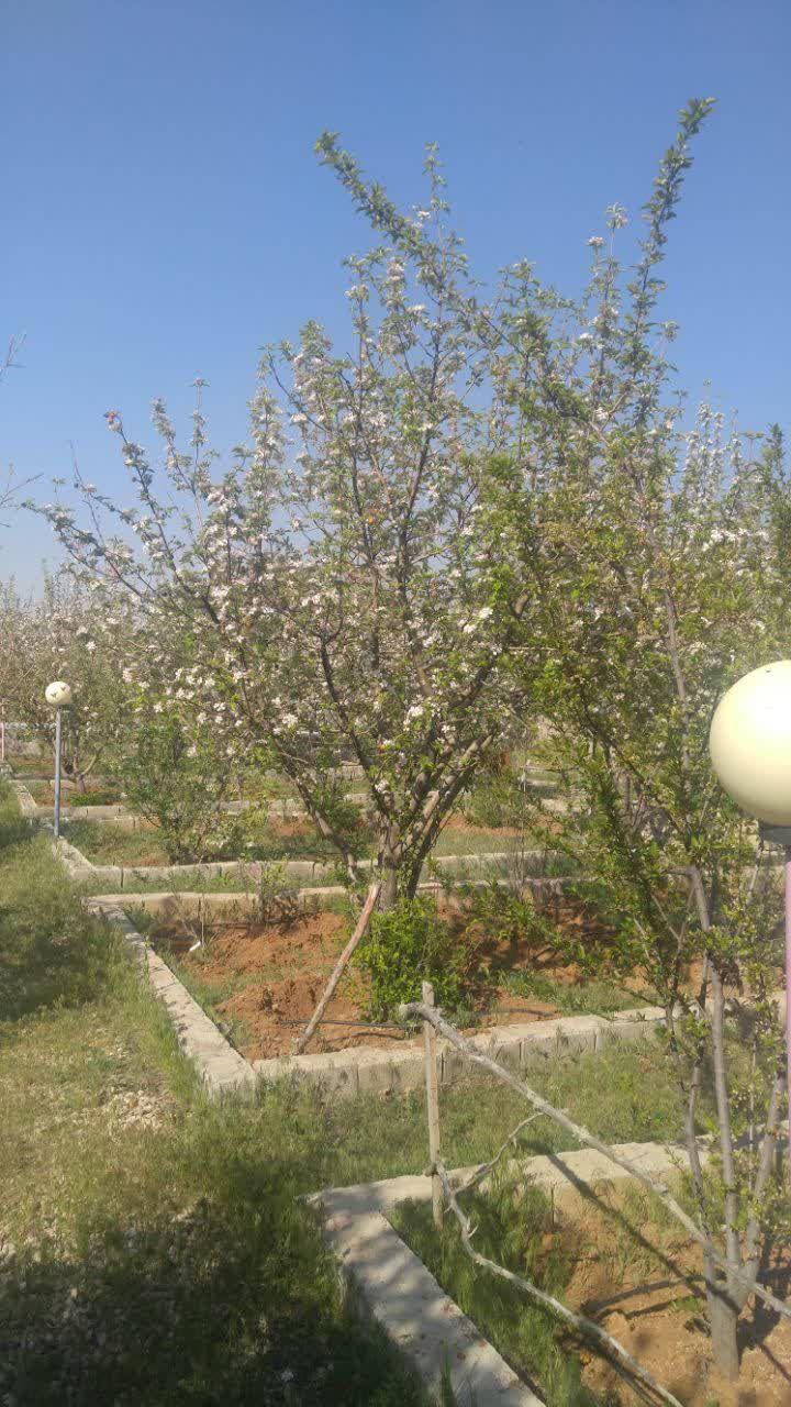 آپارتمان 1000 متری در کودیان