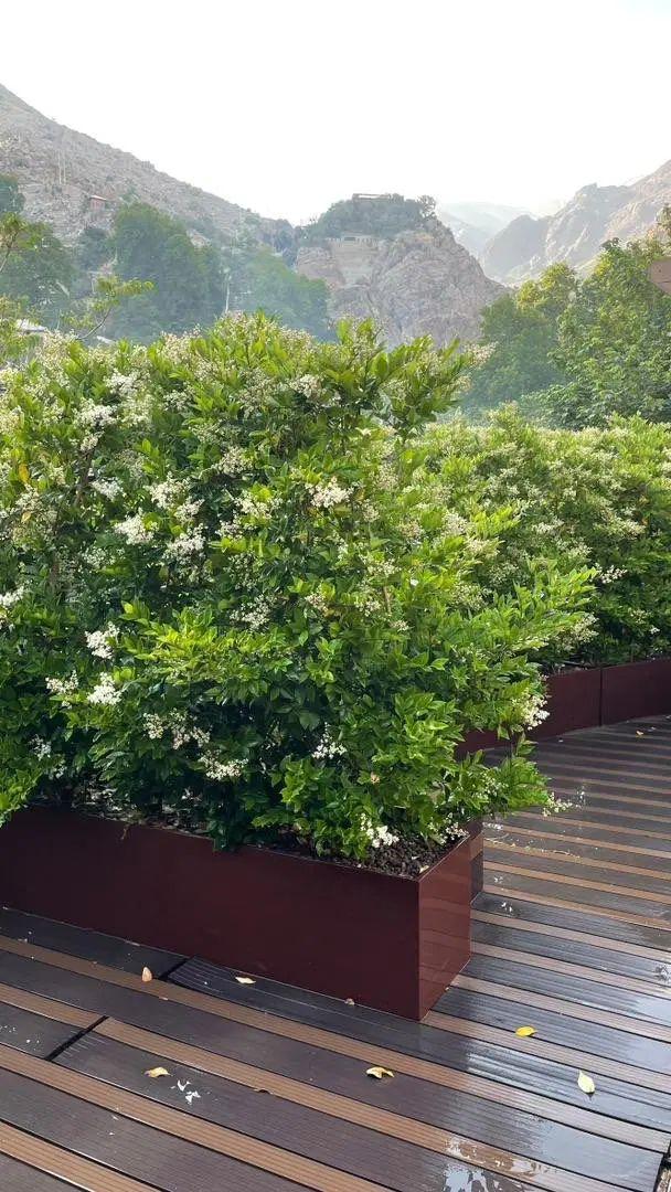 آپارتمان 170 متری در دربند