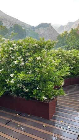 آپارتمان 170 متری در دربند