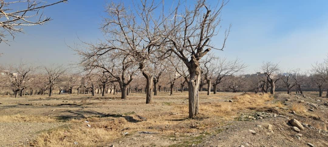 آپارتمان 6700 متری در کن