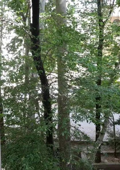 آپارتمان 115 متری در ناژوان