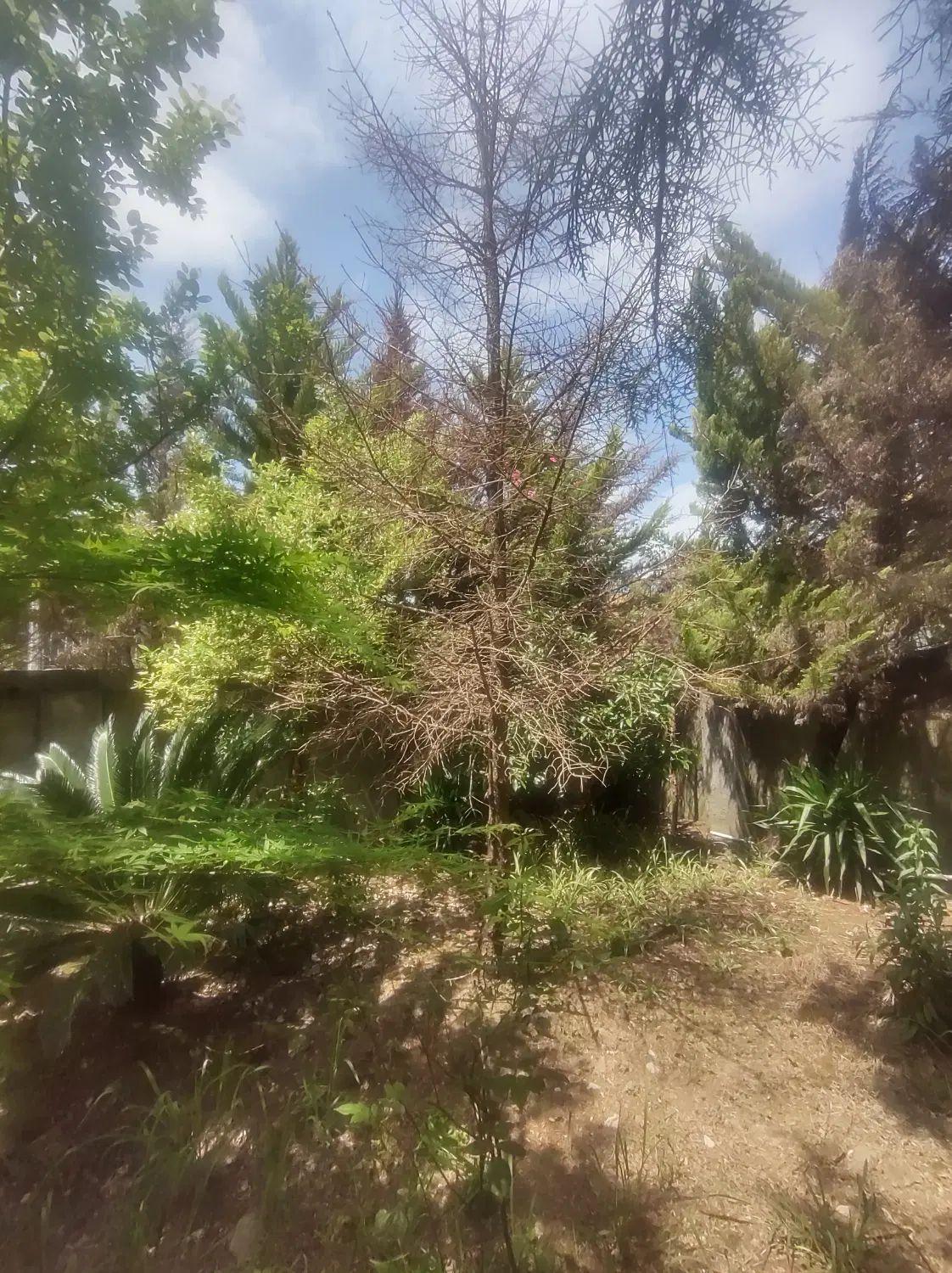 آپارتمان 82 متری در هچیرود