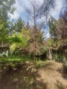 آپارتمان 82 متری در هچیرود